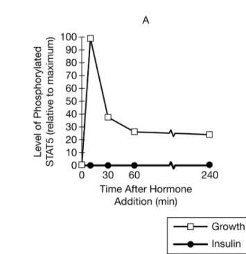 Describe the hormone and signaling protein combination that produced the greatest-example-1