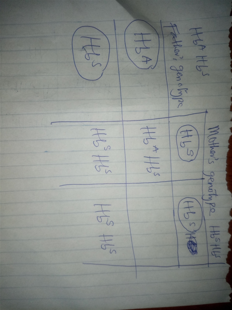 Sickle cell anemia is caused by a mutation that changes one amino acid in hemoglobin-example-2