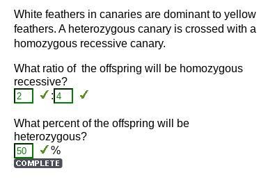 White feathers in canaries are dominant to yellow feathers. A heterozygous canary-example-1