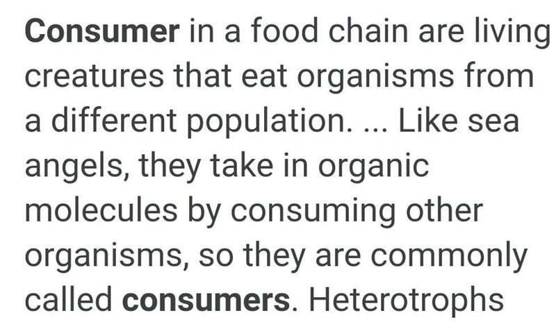 1. Define the following terms: a.Producer b.Autotraph c.Consumer d.Heterotroph e.Chemosynthesis-example-2