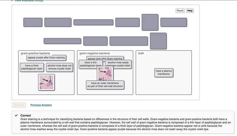 Bacteria are extremely diverse in structure and in how they obtain energy and nutrients-example-1