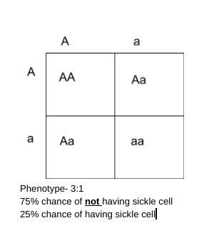 In people sickle cell disease is codominant. When an individual is heterozygous they-example-1