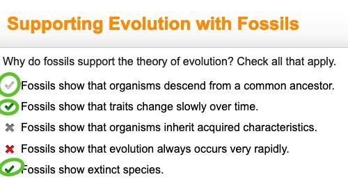 Why do fossils support the theory of evolution? Check all that apply. Fossils show-example-1