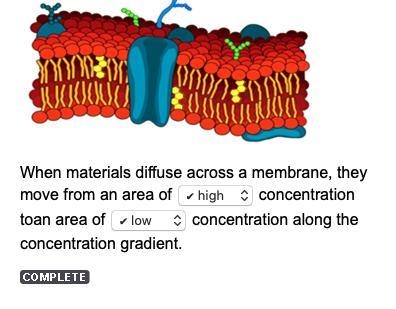 When materials diffuse across a membrane, they move from an area of concentration-example-1