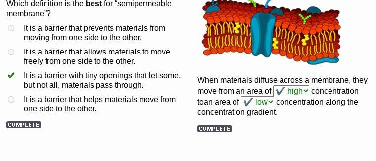 When materials diffuse across a membrane, they move from an area of concentration-example-1