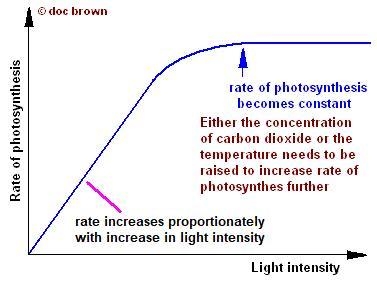 Imagine that y-axis of each graph describes the rate of photosynthesis. Which of the-example-1