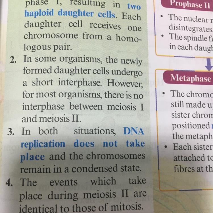 What happens in meiosis I that does not occur in meiosis II? -cytokinesis takes place-example-1