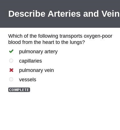 Which of the following blood vessel carries impure blood from heart to lungs for purification-example-1