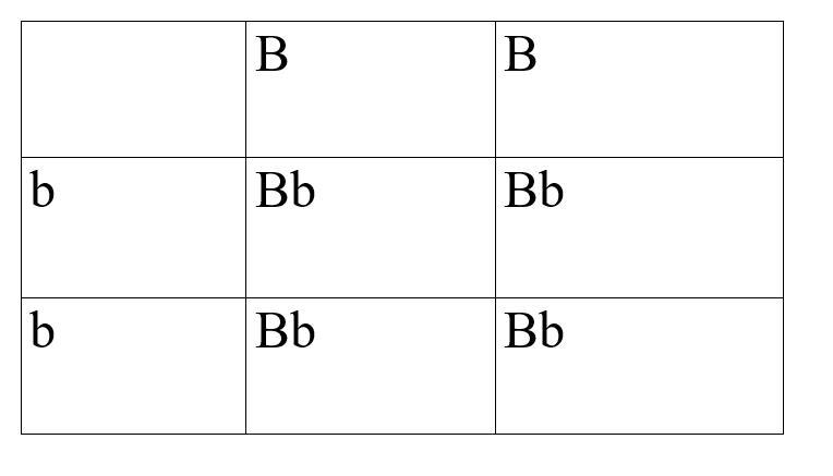 What is the probability of the offspring having brown eyes (dominant) if the father-example-1