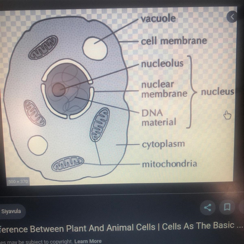 Help me name the parts of the diagram pls-example-1