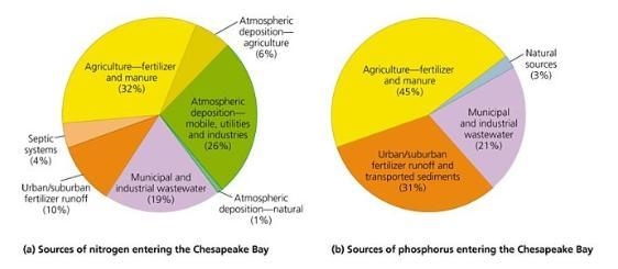 Which of the following conclusions can be drawn from the data shown in the figure-example-1