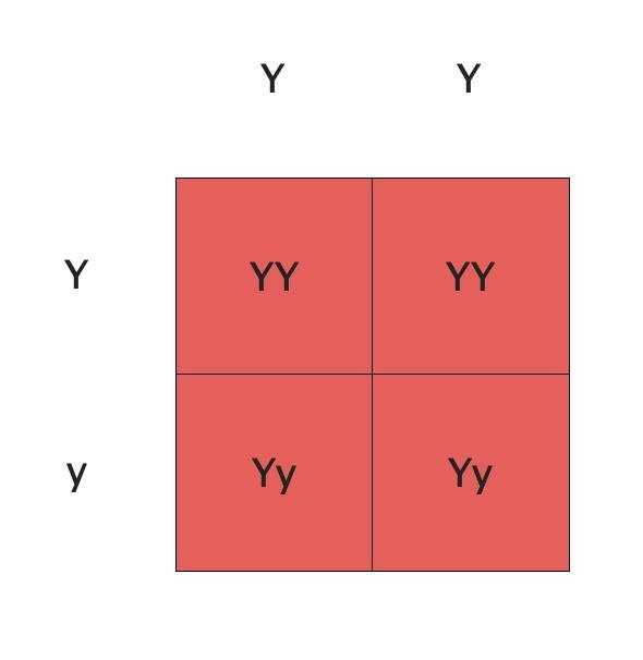 Genetics Variation of Traits Scenario First Cross: Two pea plants were crossed, one-example-1