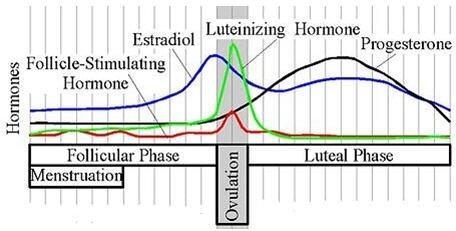 HELP!!!!! NEED A CLEAR ANSWER ASAP PLZ!!!! The graph shows the changing levels of-example-1