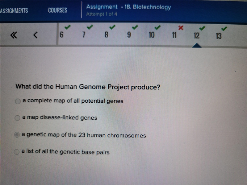 What did the Human Genome Project produce? a genetic map of the 23 human chromosomes-example-1