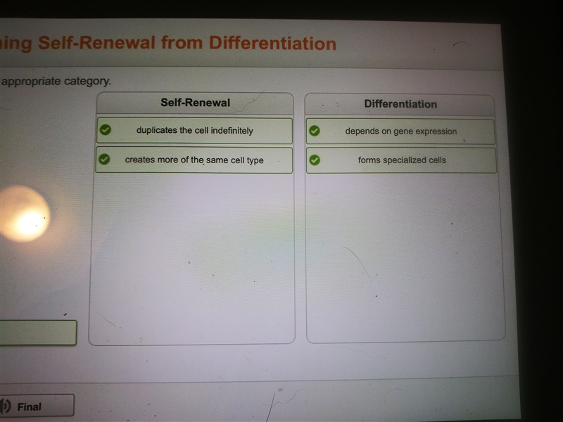 Drag each tile to the appropriate category. depends on gene expression Self-Renewal-example-1