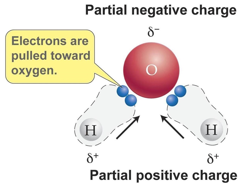 Use the structure of a water molecule to explain why its is polar-example-1