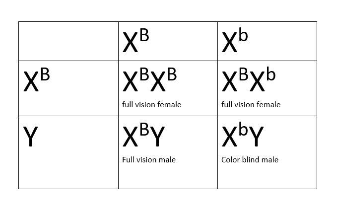 Question 2: In red-green colorblindness, individuals cannot perceive the colors red-example-1