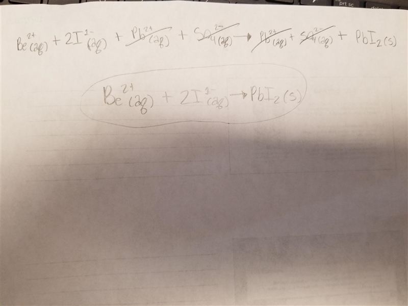 PLEASE ANYONE I NEED HELP!!!! what is the net ionic equation and what are the spectator-example-1