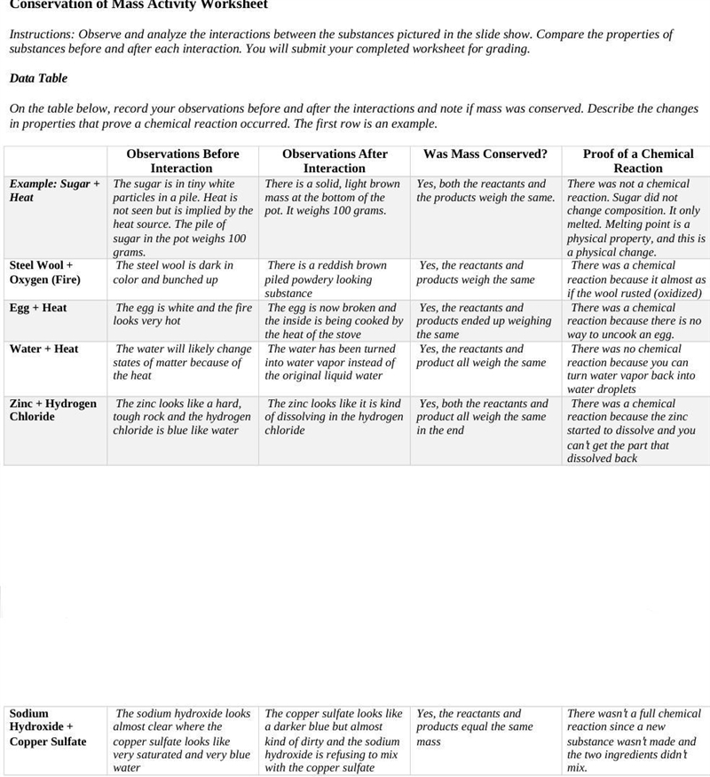 PLS HELP Conservation of Mass Activity Worksheet Instructions: Observe and analyze-example-1