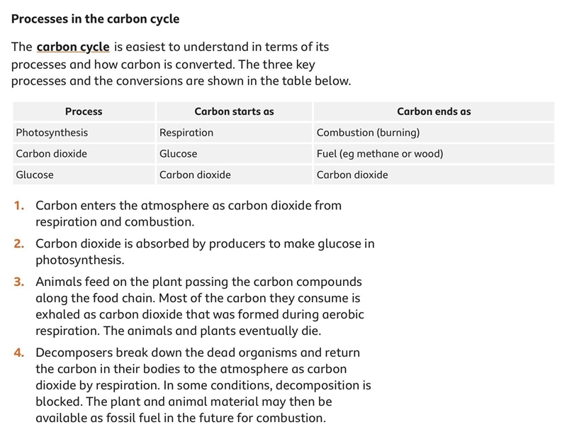 What are the two main proceses of the carbon cycle?-example-1