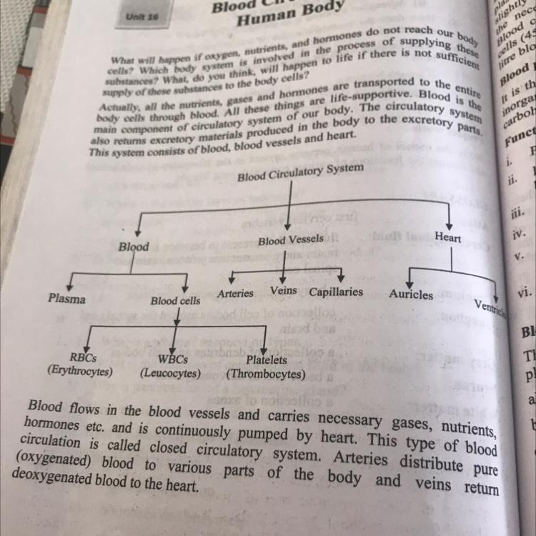 What do you mean by blood circulation​-example-1