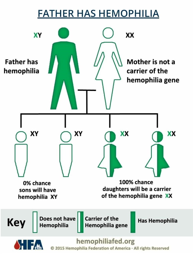 A girl is born with hemophilia. Her dad also has hemophilia, but her mother does not-example-1