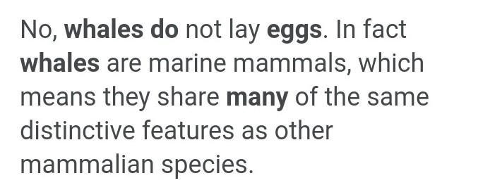 How many eggs does the whale prouduce a year ​-example-1