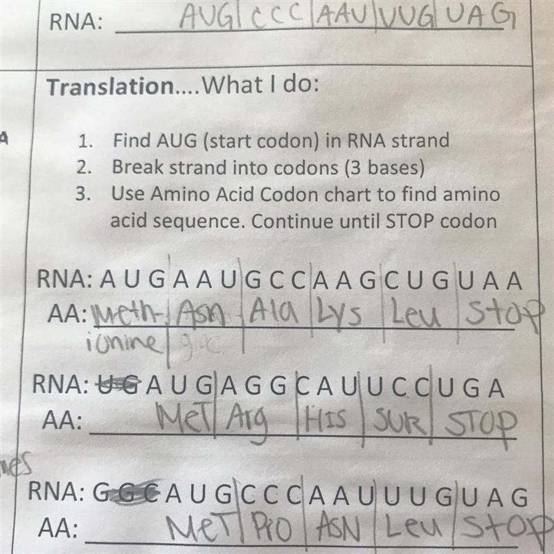 Does anyone understand this?-example-1