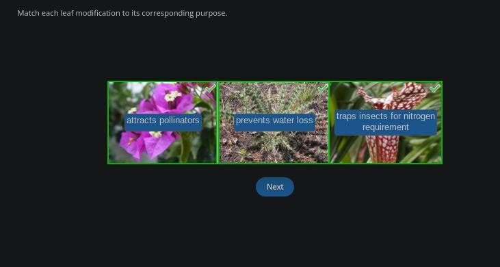 Match each leaf modification to its corresponding purpose.-example-1