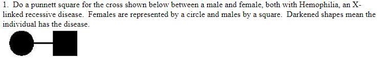 Do a punnett square for the cross shown below between a male and female, both with-example-1