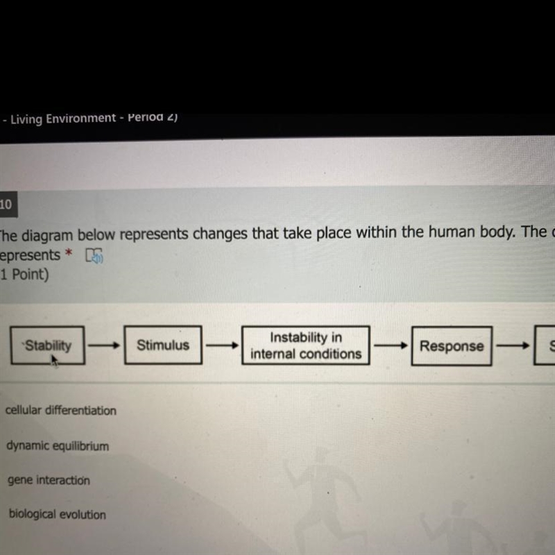 The diagram below represents changes that take place within the human body. The diagram-example-1