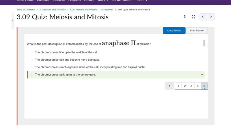 What is the best description of chromosomes by the end of anaphase II of meiosis? a-example-1