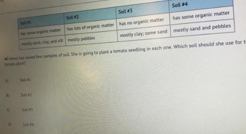 Alexa has mixed four samples of soil. She is going to plant a tomato seedling in each-example-1