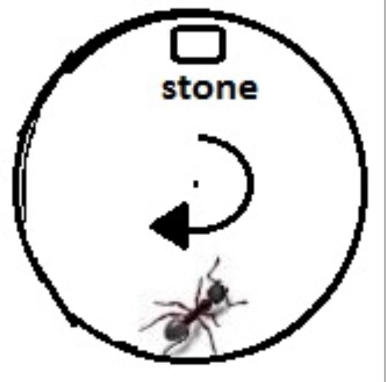 An ant and a stone are on a circular disc, which is rotating at a constant speed. The-example-2