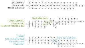 Saturated fatty acids are blank at room temperature and include blank​-example-1