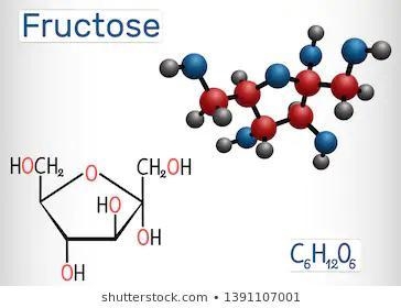 PLSSSS HELP!!!!! Build the simple sugar molecule Fructose using the following-example-1