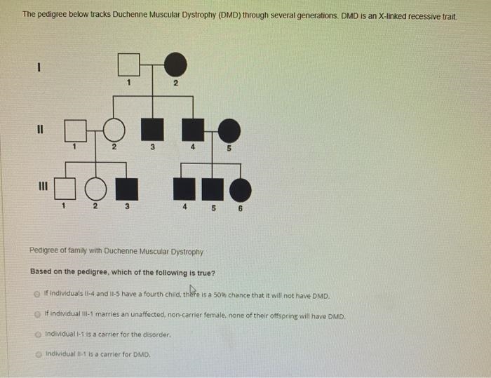 The pedigree below tracks Duchenne Muscular Dystrophy (DMD) through several generations-example-1