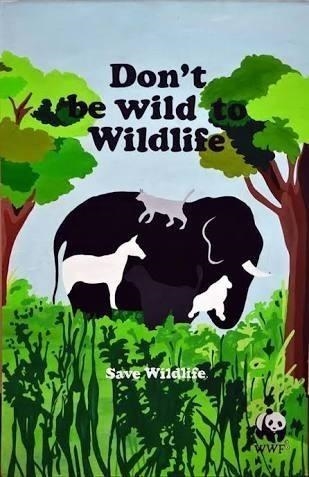 Make a poster to create awareness about conservation of plants and animals-example-1