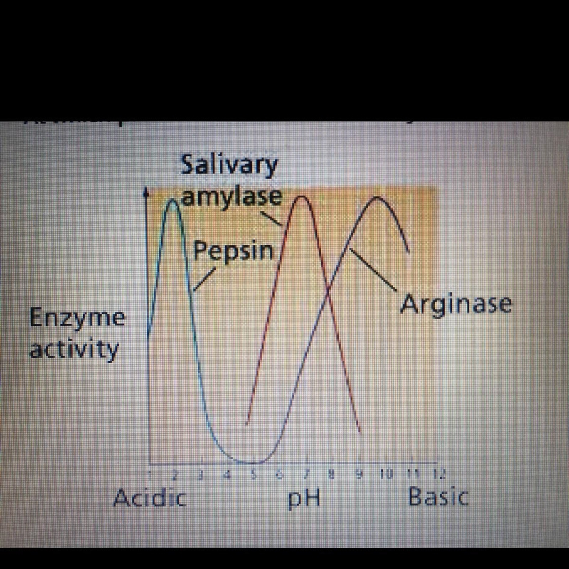 A student measured the time required for a protein sample to be completely digested-example-1