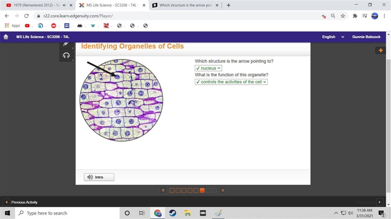 Which structure is the arrow pointing to? What is the function of this organelle?-example-1