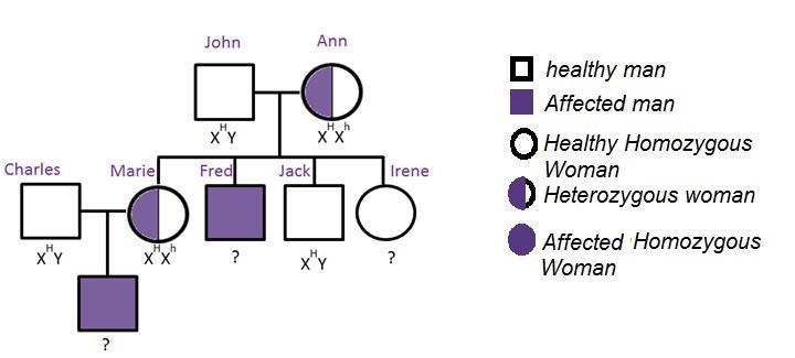 Based on the pedigree that is shown, which describes John? carrier for hemophilia-example-1