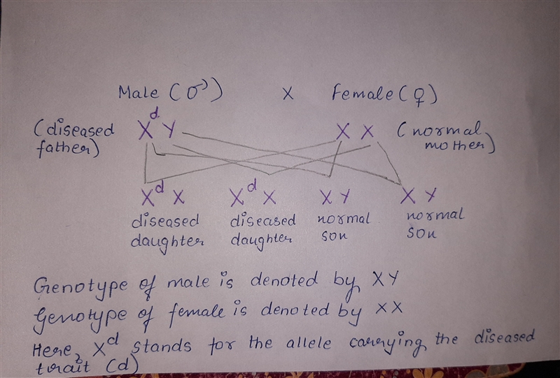 A man with a genetic disease marries a woman who does not carry the disease. It is-example-1