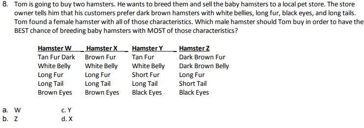 Tom is going to buy two hamsters. He wants to breed them and sell the baby hamsters-example-1