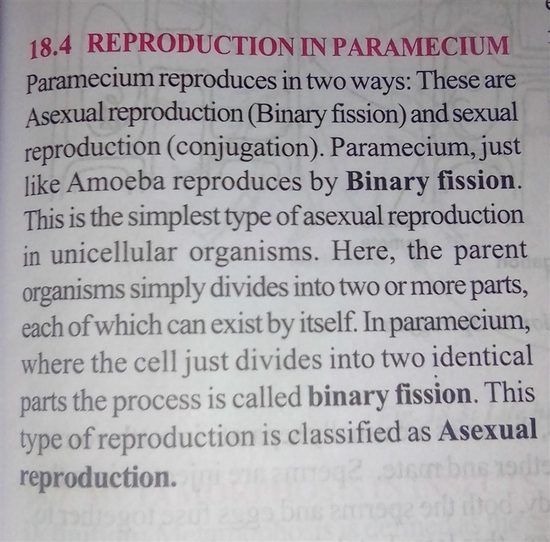 When does conjugation occurs in paramecium​-example-2