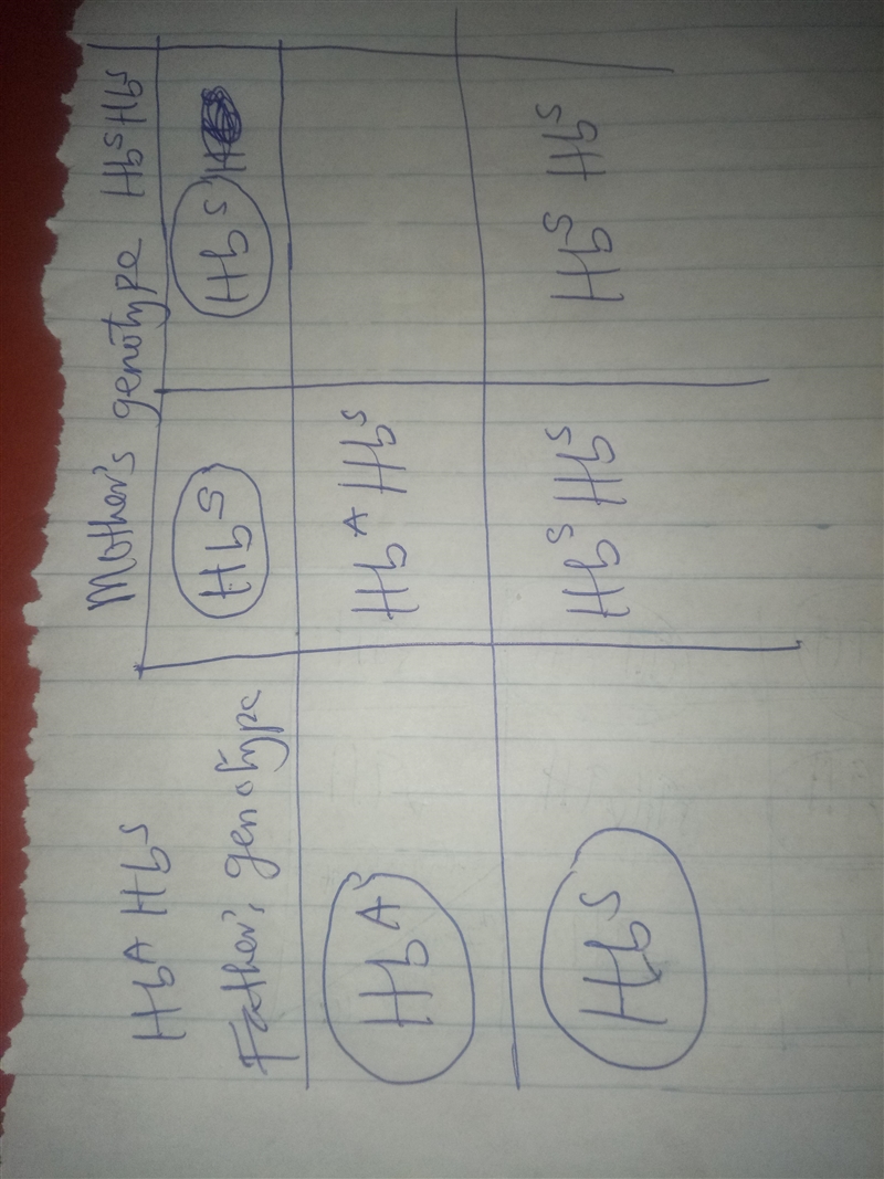 4) A couple has three children, two without sickle cell anemia and one with sickle-example-1