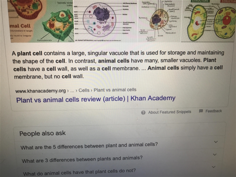 If you were looking through a microscope at cells, how would you determine if they-example-1