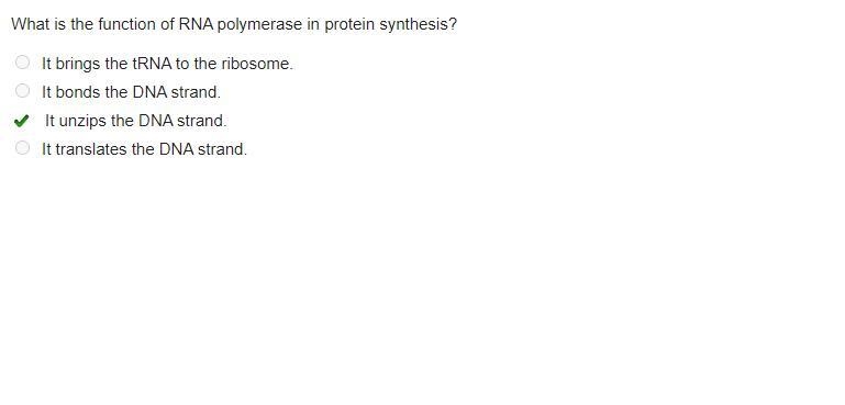 What is the function of RNA polymerase in protein synthesis? It brings the tRNA to-example-1