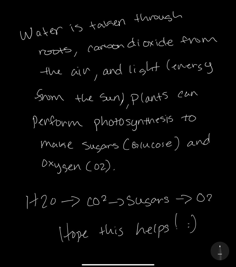 Gases involved in photosynthesis of a plant and their roles ​-example-1