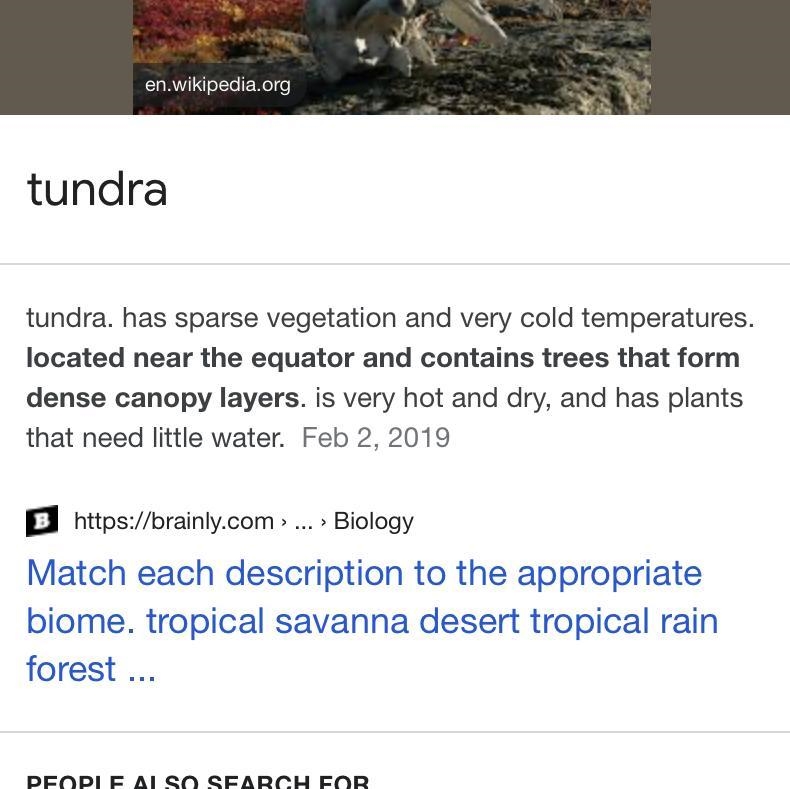 Located near the equator and contains trees that form dense canopy layers ?-example-1