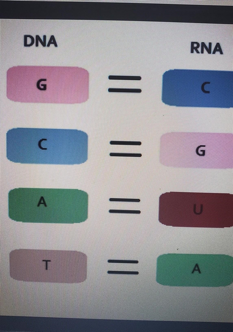 Which sequence of RNA transcribed from the base sequence of DNA is ATA CCG ATC GAT-example-1